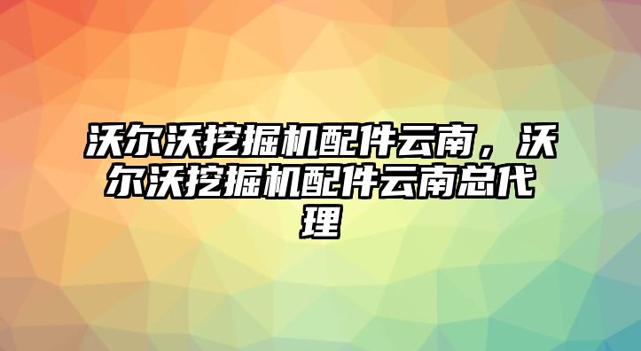 沃爾沃挖掘機配件云南，沃爾沃挖掘機配件云南總代理