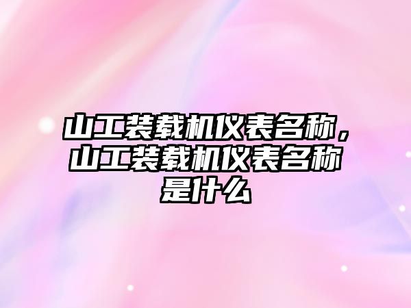 山工裝載機儀表名稱，山工裝載機儀表名稱是什么