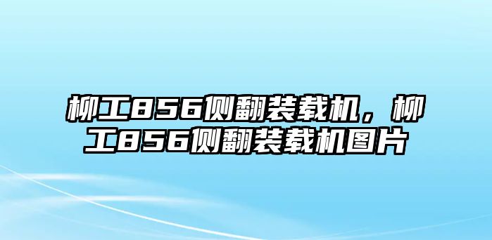 柳工856側翻裝載機，柳工856側翻裝載機圖片