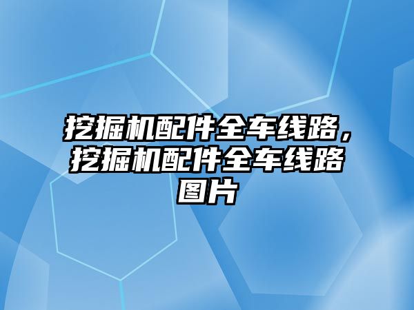 挖掘機配件全車線路，挖掘機配件全車線路圖片