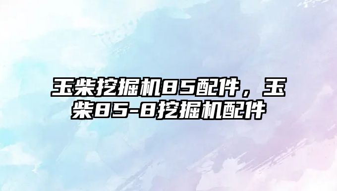 玉柴挖掘機85配件，玉柴85-8挖掘機配件