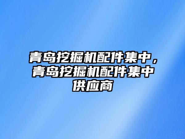 青島挖掘機配件集中，青島挖掘機配件集中供應(yīng)商