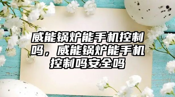 威能鍋爐能手機控制嗎，威能鍋爐能手機控制嗎安全嗎