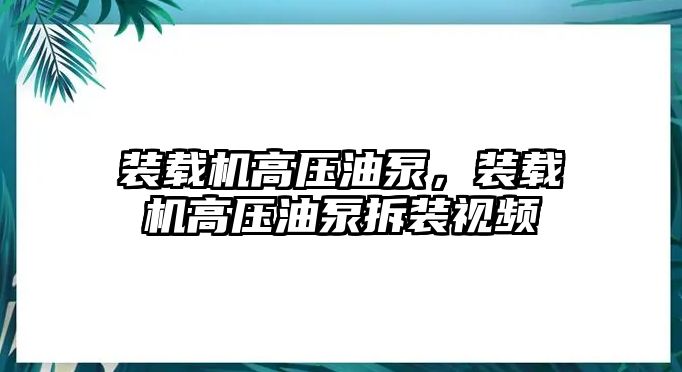 裝載機(jī)高壓油泵，裝載機(jī)高壓油泵拆裝視頻