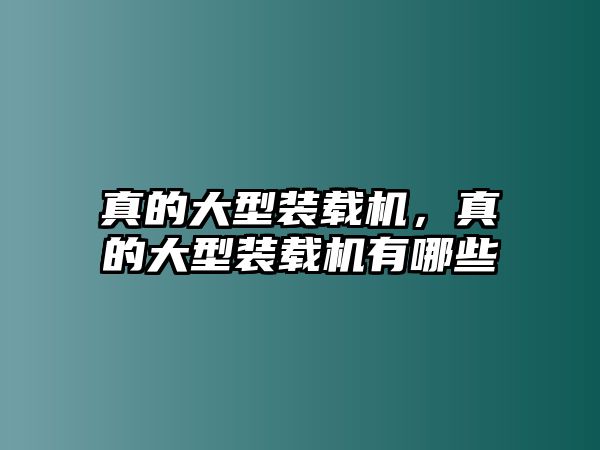 真的大型裝載機，真的大型裝載機有哪些