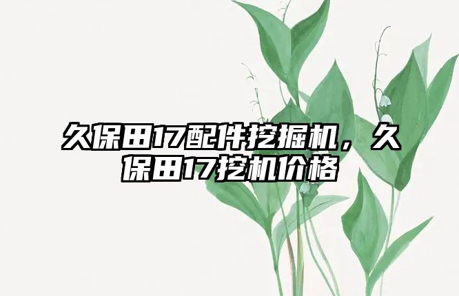 久保田17配件挖掘機(jī)，久保田17挖機(jī)價(jià)格