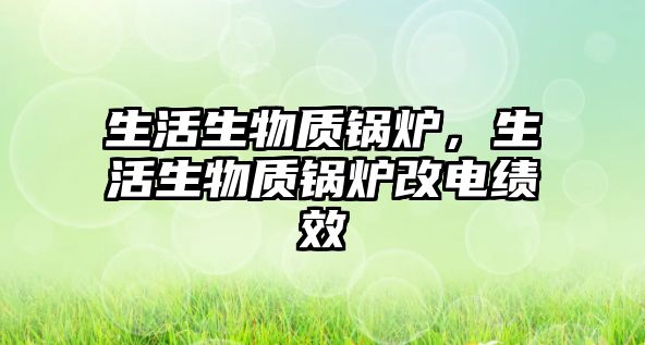 生活生物質(zhì)鍋爐，生活生物質(zhì)鍋爐改電績效