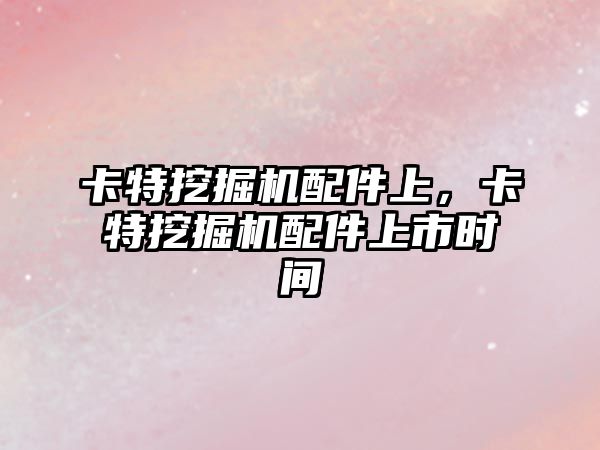 卡特挖掘機配件上，卡特挖掘機配件上市時間