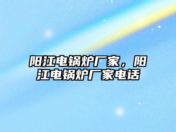 陽江電鍋爐廠家，陽江電鍋爐廠家電話