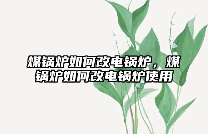 煤鍋爐如何改電鍋爐，煤鍋爐如何改電鍋爐使用