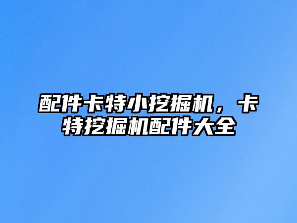 配件卡特小挖掘機，卡特挖掘機配件大全