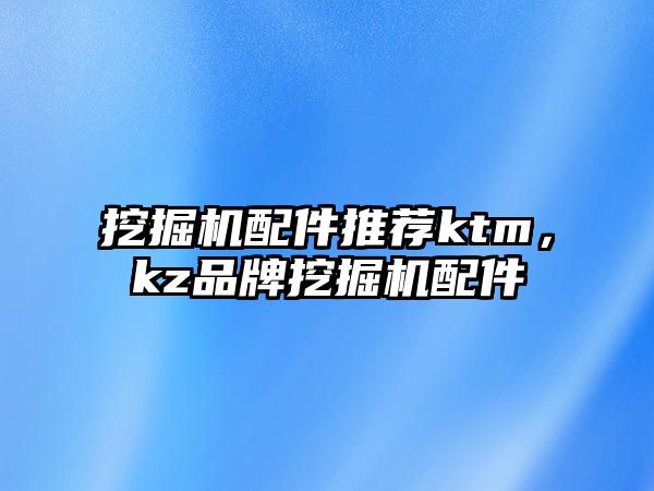 挖掘機配件推薦ktm，kz品牌挖掘機配件