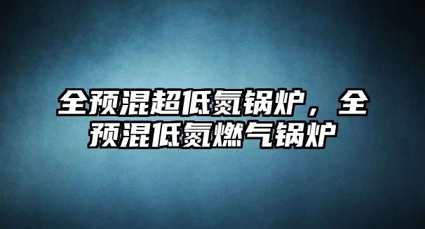 全預(yù)混超低氮鍋爐，全預(yù)混低氮燃?xì)忮仩t