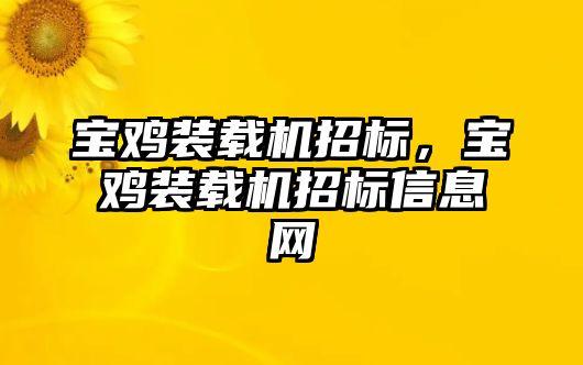 寶雞裝載機(jī)招標(biāo)，寶雞裝載機(jī)招標(biāo)信息網(wǎng)