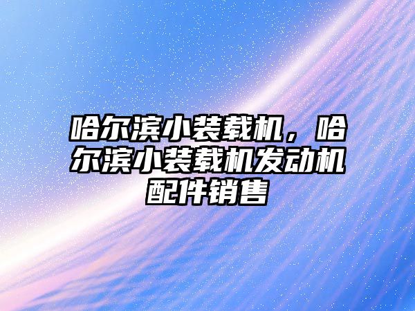 哈爾濱小裝載機，哈爾濱小裝載機發(fā)動機配件銷售