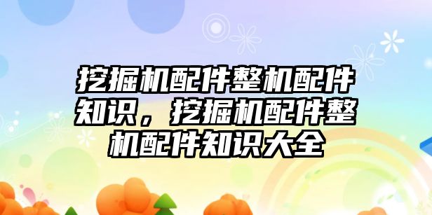 挖掘機配件整機配件知識，挖掘機配件整機配件知識大全