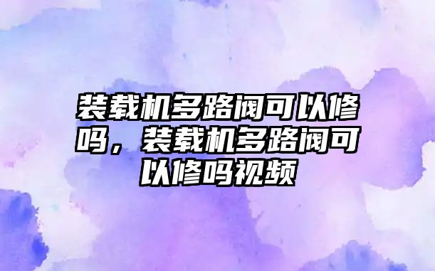 裝載機多路閥可以修嗎，裝載機多路閥可以修嗎視頻