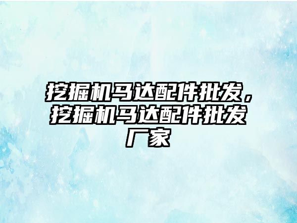 挖掘機馬達配件批發(fā)，挖掘機馬達配件批發(fā)廠家