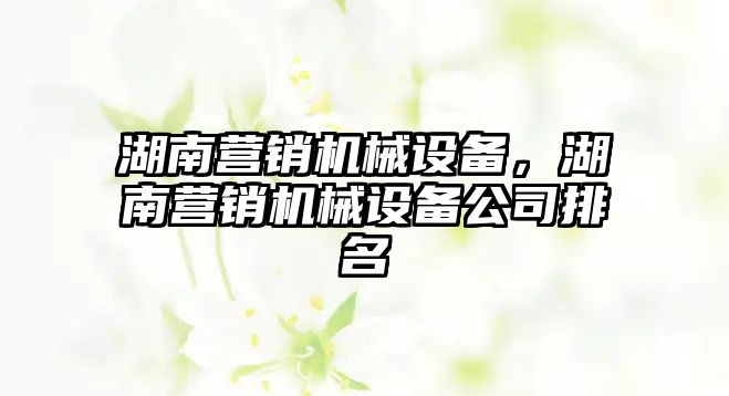 湖南營銷機械設(shè)備，湖南營銷機械設(shè)備公司排名