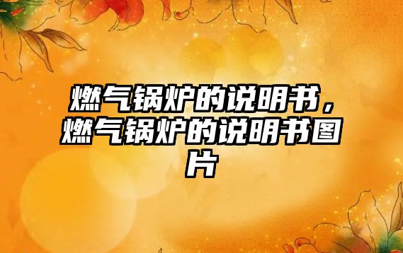 燃?xì)忮仩t的說明書，燃?xì)忮仩t的說明書圖片