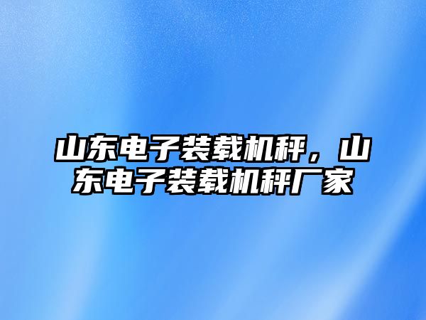 山東電子裝載機(jī)秤，山東電子裝載機(jī)秤廠(chǎng)家