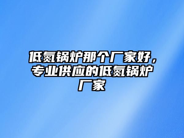 低氮鍋爐那個廠家好，專業(yè)供應(yīng)的低氮鍋爐廠家