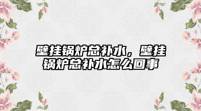 壁掛鍋爐總補水，壁掛鍋爐總補水怎么回事