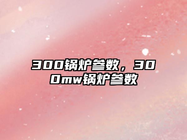 300鍋爐參數(shù)，300mw鍋爐參數(shù)