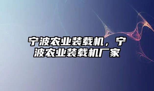 寧波農業(yè)裝載機，寧波農業(yè)裝載機廠家