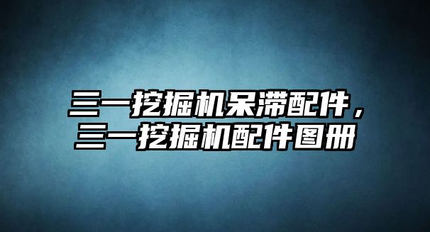 三一挖掘機(jī)呆滯配件，三一挖掘機(jī)配件圖冊(cè)