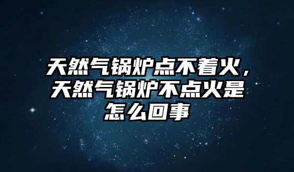 天然氣鍋爐點(diǎn)不著火，天然氣鍋爐不點(diǎn)火是怎么回事