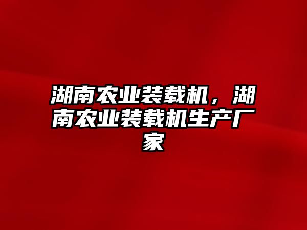 湖南農(nóng)業(yè)裝載機，湖南農(nóng)業(yè)裝載機生產(chǎn)廠家