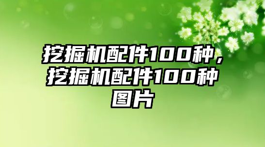 挖掘機(jī)配件100種，挖掘機(jī)配件100種圖片