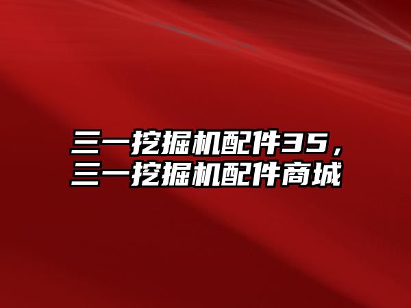 三一挖掘機配件35，三一挖掘機配件商城