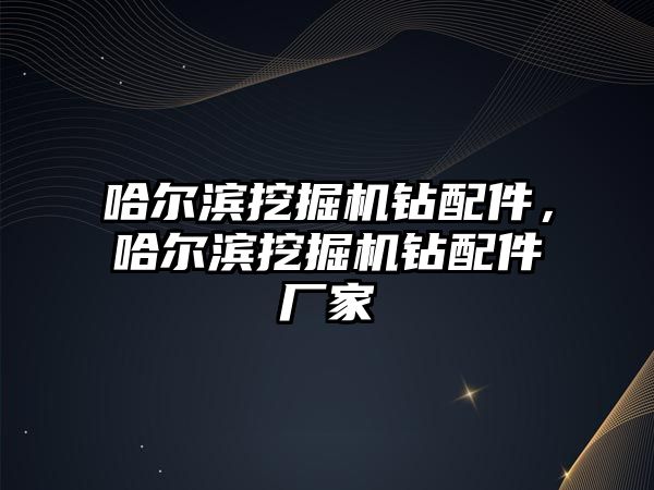 哈爾濱挖掘機鉆配件，哈爾濱挖掘機鉆配件廠家