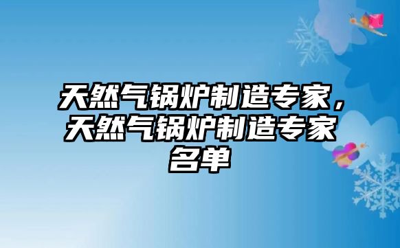 天然氣鍋爐制造專家，天然氣鍋爐制造專家名單