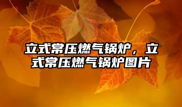 立式常壓燃?xì)忮仩t，立式常壓燃?xì)忮仩t圖片