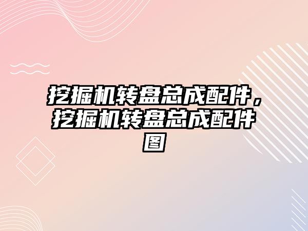 挖掘機轉盤總成配件，挖掘機轉盤總成配件圖