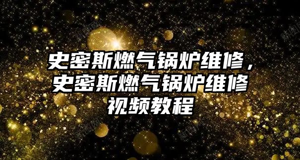 史密斯燃氣鍋爐維修，史密斯燃氣鍋爐維修視頻教程