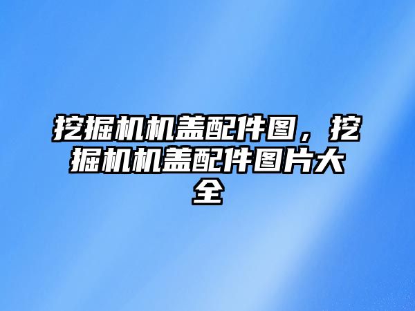 挖掘機機蓋配件圖，挖掘機機蓋配件圖片大全