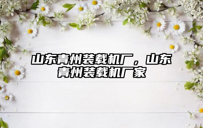 山東青州裝載機廠，山東青州裝載機廠家