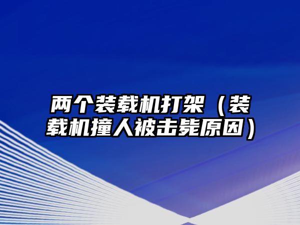 兩個裝載機打架（裝載機撞人被擊斃原因）