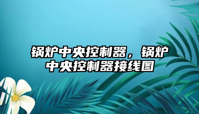 鍋爐中央控制器，鍋爐中央控制器接線圖