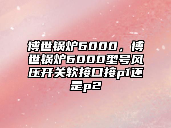 博世鍋爐6000，博世鍋爐6000型號風(fēng)壓開關(guān)軟接口接p1還是p2