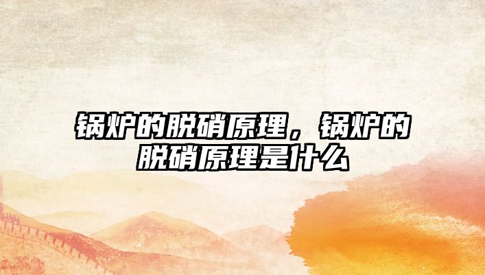 鍋爐的脫硝原理，鍋爐的脫硝原理是什么