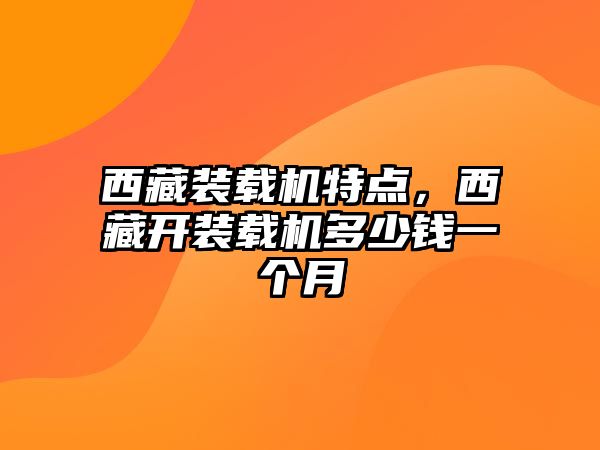 西藏裝載機特點，西藏開裝載機多少錢一個月