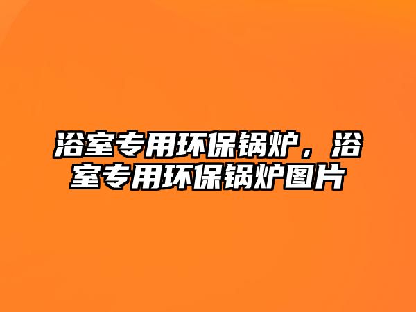 浴室專用環(huán)保鍋爐，浴室專用環(huán)保鍋爐圖片