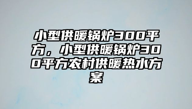 小型供暖鍋爐300平方，小型供暖鍋爐300平方農(nóng)村供暖熱水方案