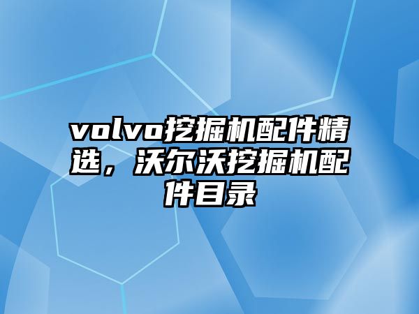 volvo挖掘機(jī)配件精選，沃爾沃挖掘機(jī)配件目錄