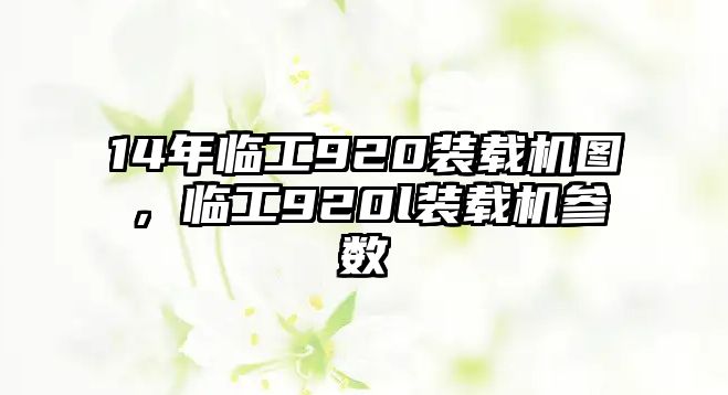 14年臨工920裝載機(jī)圖，臨工920l裝載機(jī)參數(shù)